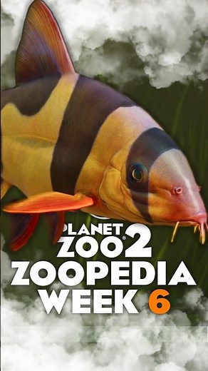 🐟 IT'S RETICULOUS! | Planet Zoo 2 Zoopedia Drop | #planetzoo #planetzoo2