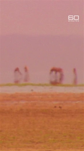 Nomads of the Ethiopian Desert: Life in Extreme Conditions