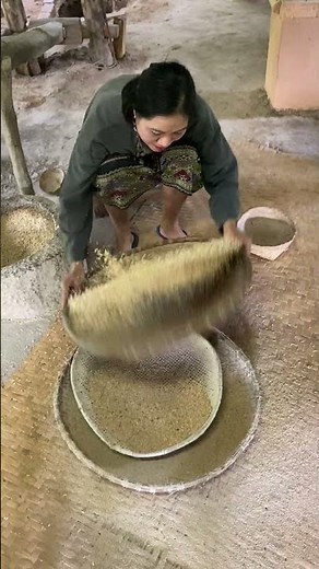 The Living Land Farm, Luang Prabang - sorting rice