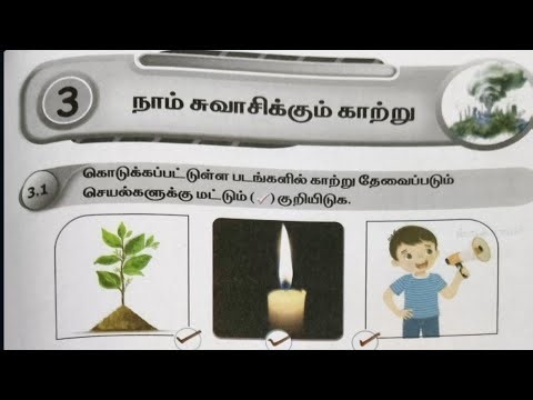 EE 4th std science term 3 unit 3 workbook answers tamil medium | 4th std science workbook answers