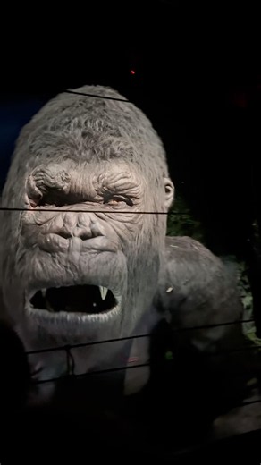 Skull Island: Reign of Kong at ‪@UniversalOrlando‬ #islandofadventure