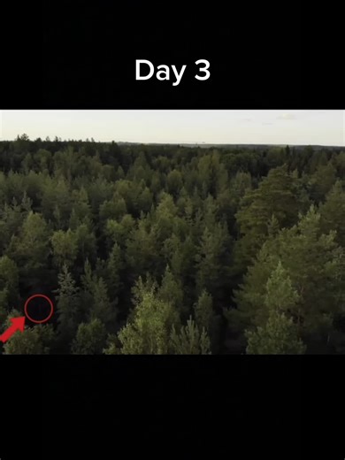 Smurf Cat Adventures on Day 3