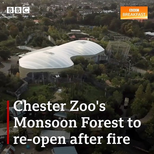 223K views · 340 reactions | Chester Zoo's Monsoon Forest will re-open to the public tomorrow. The forest was destroyed by a fire in 2018 ⤵️ | BBC Breakfast | Facebook