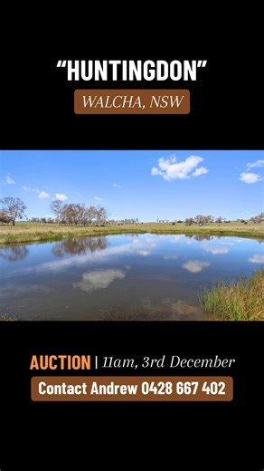 🚩 𝐀𝐔𝐂𝐓𝐈𝐎𝐍 🚩 | “Huntingdon” 285 Brackendale Road, Walcha NSW 𝑄𝑢𝑎𝑙𝑖𝑡𝑦 𝑁𝑒𝑤 𝐸𝑛𝑔𝑙𝑎𝑛𝑑 𝐿𝑖𝑓𝑒𝑠𝑡𝑦𝑙𝑒 𝐴𝑐𝑟𝑒𝑎𝑔𝑒！ Offered by way of Public Auction ~ 11am, Wed 3rd December 2025, if not sold prior. For further information or to arrange your private inspection, contact the listing agentAndrew Blomfield 0428 667 402https://tinyurl.com/3makzy9w | Davidson Cameron & Co - Rural Property