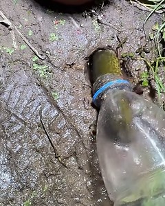 490K views · 535 reactions | Fascinating fishing technique! | Simple ideas | Facebook