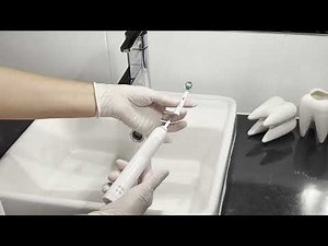 How to Replace Oral B Toothbrush Head