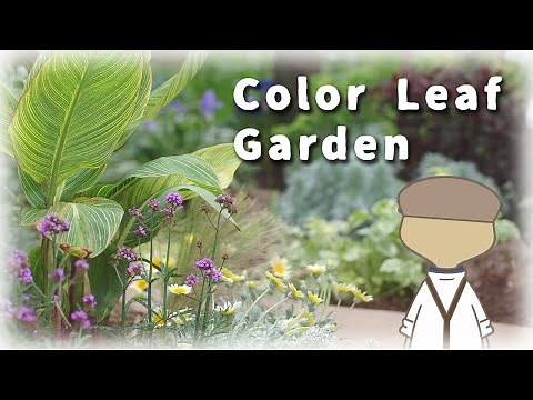 [Example] Japanese-style garden → Adult colorful leaf garden