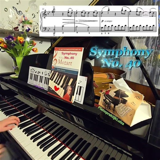 81. Mozart-Symphony No 40. #piano