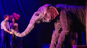 Cast of 'Water for Elephants' share tour life as show opens at Shea's Buffalo Theatre