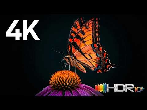 4K Demo | TV Test Video — Flowers & Butterflies Ultra HD