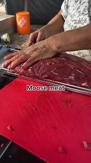 Cutting and Preparing Delicious Moose Meat
