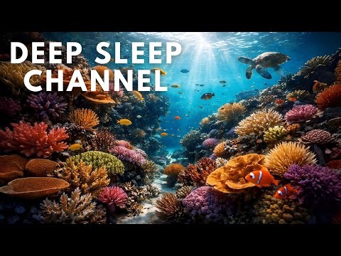 Coral Reef Exploration | Sleep Story