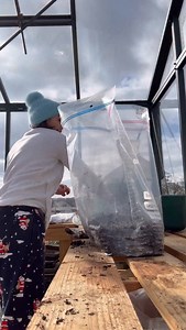 21K views · 4.3K reactions | Anybody can start seeds overwinter!...