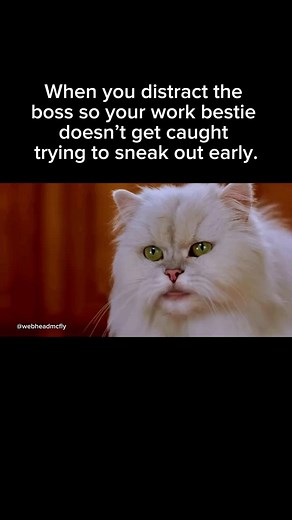 Professional level teamwork. 🤣😂🤣 Media Source: “Stuart Little” (1999) • • • • #stuartlittle #funnyanimation #columbiapictures #funnyanimals #workhumor #workmemes #officelife #workbestie #relatable #sneakingout #leavingearly #bossmemes #happymonday #mondayblues #michaeljfox #geenadavis #hughlaurie #stevezahn #nathanlane #jennifertilly #newtrending #funnymemesdaily #foryou #workbff #bestiememes #90smovies | Mike Walsh