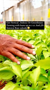 Get Vertical, Indoor, or Greenhouse Farming with loans under ₹2 Cr and 3% interest subsidy. ( Read Caption For more ) Save This Reel Or Get Left Behind! Introducing the Agriculture Infrastructure Fund (AIF) – a government-backed initiative to support farmers and agribusinesses by providing affordable loans for modern farming infrastructure. 1. Exciting loan schemes for Vertical, Indoor, and Greenhouse farming. 2. Loans available up to ₹2 crore for farming infrastructure. 3. Benefit from a 3% int
