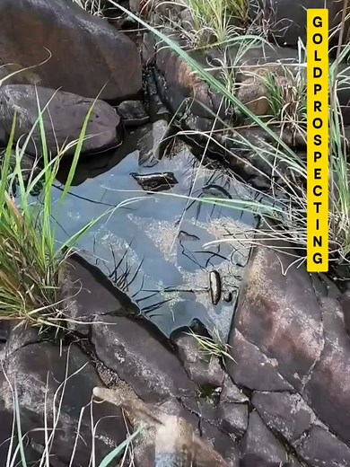 Gold Panning Tips: Where the Old-Timer Missed Gold