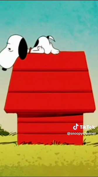 Funny Snoopy Dog Moments That Will Brighten Your Day