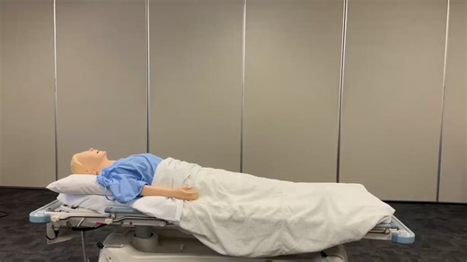 BLS SALHN - 2 Person response.