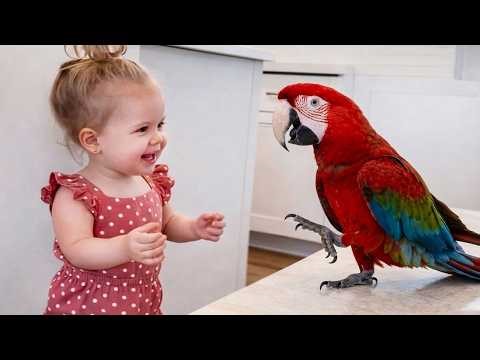 This Baby is Raised by a Talking Parrot… Pure Cuteness Overload 😍