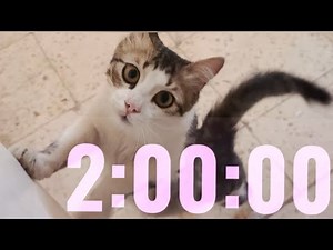 2 Hours Countdown TimerClock with Simple Beeps