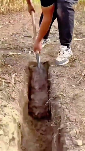 Pro Trenching Techniques The Best Way to Dig Narrow Deep Holes in Dry Soil