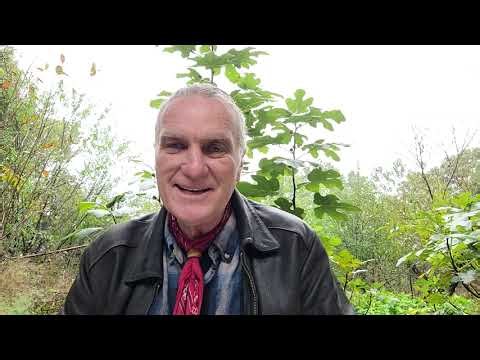 305/365 11-1-25 Thru A Course In Miracles w/ Will-E. Ellen Felton Collards, Suaimneas