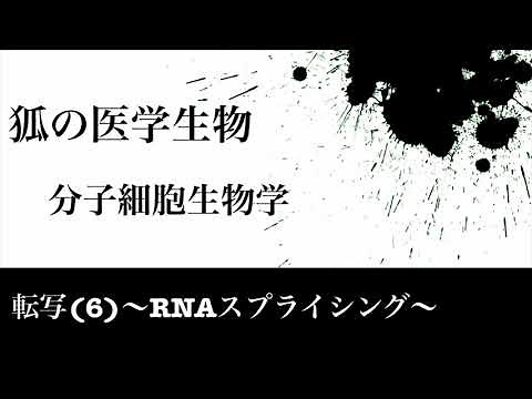 分子細胞生物学32 転写(6)〜RNAスプライシング〜