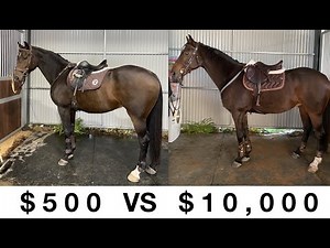 $500 VS $10,000 Tack Set Up!