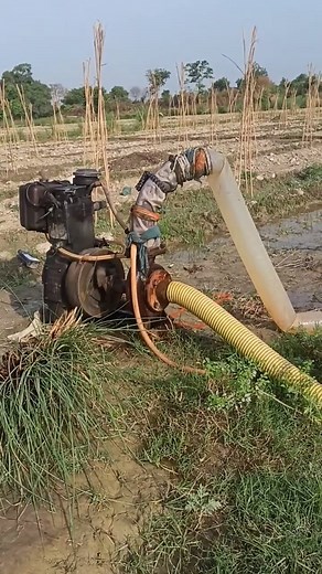 indian farming technique | Indian Farmer