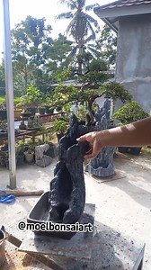 Mengganti pot yg lebih lebar bonsai penjing #penjingbonsai #miniaturbonsai #panoramabonsai #dioramabonsaipenjing #moelbonsaiart | Moel Bonsai Art