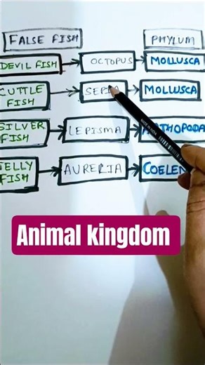 NEETBiology||Animal Kingdom||False fishes.class 11.