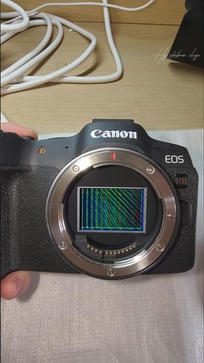 📸 Canon EOS R8 Photography Test – Stunning Shots Without a Lens?!