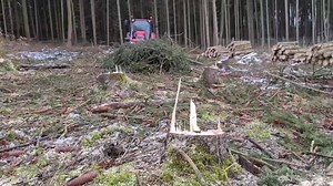 62K views · 2.3K reactions |  | Little Princess - Farmer and Model | Facebook