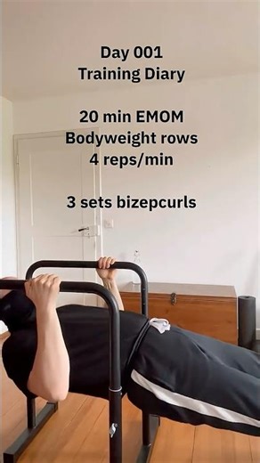 Training Diary Day 001 - bodyweight rows and curls