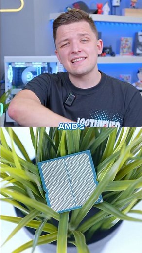 AMD vs Intel for Your PC Build? 👀