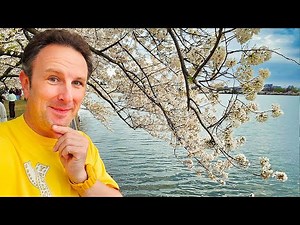 Answering Your Frequent Questions About Yellow Productions