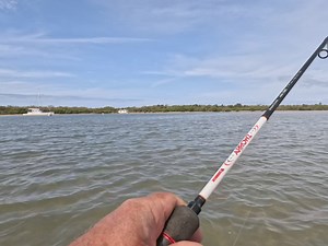 10K views · 93 reactions | Catching a feed while wading on the island flats!  This Thursday is the only day still available this week at the Gold Coast, and the tides are ideal for walking the shallow island flats. SMS Clint 0432 990 302 to experience this highly effective and very sporty way of fishing. Available for a private charter 1-3 people, or for 1 person sharing with 1 other  | Gold Coast River Fishing Charters | Facebook