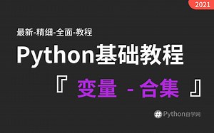 2-3【python自学网】变量-数据类型 python基础入门精讲视频教程