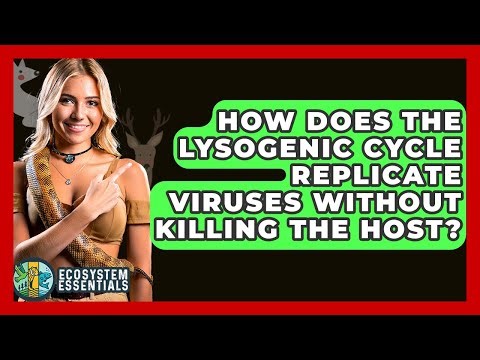 How Does The Lysogenic Cycle Replicate Viruses Without Killing The Host? - Ecosystem Essentials