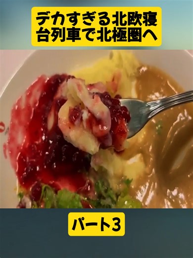 【デカすぎ...】北欧フィンランド🇫🇮の超巨大な寝台特急で北極圏まで12時間の旅🎅 (ヘルシンキ中央駅→ロヴァニエミ)｜提供: トリファ(trifa) パート3#kuga'stravel #理系 #京大 #夜行バス #東京 #tokyo #firstclass #dotonbori #旅行 #overnightbus #videoviral #japan #fyp #foryoupage❤️❤️