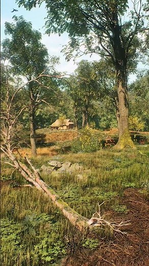 [8K60FPS] Ultra-Realistic Forest Walk | Unreal Engine 5 Render