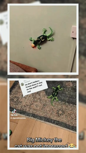 This Toy RC Gecko wall crawler is so fun @The Collective Agency TTS IRE @LuckyStar Toys_Ireland