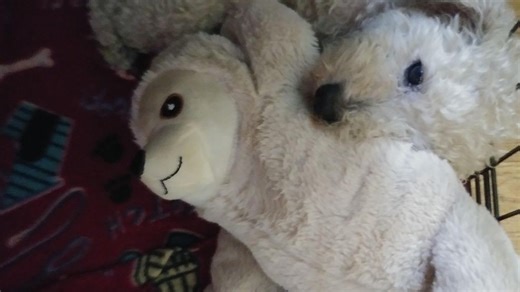 Two German Shepherds deemed aggressive after deadly attack on Dellview neighborhood dogs