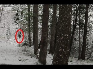 Angry Cherry Creek Bigfoot & Injured Devils Creek Sasquatch