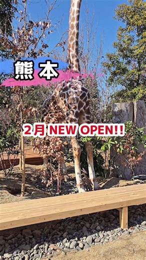 『オーガニックレストランましら』 熊本県上益城郡甲佐町豊内469-1 11:00～15:00 17:00～21:00(夜はダイニングキッチンとなります) 店休日 火・水・他不定休 1人あたり¥1650 #オーガニックレストランましら #熊本グルメ #日本旅行 #日本之旅 #일본여행