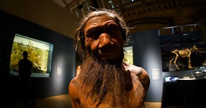 Neanderthal Bone Scars Reshape What We Know About Their Lives