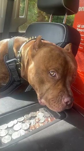 Our First Swap Tour!