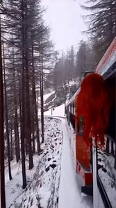 Erin Ireland on Reels