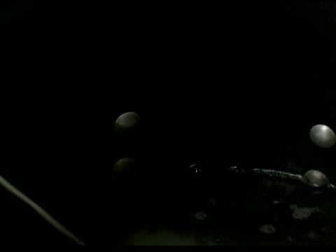 Cooking Tips : How to Boil Tripe (Menudo)