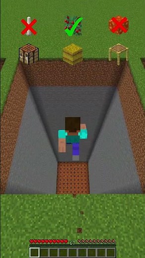 Which Minecraft Block Fall Can Steve Survive? 🤯#invincible